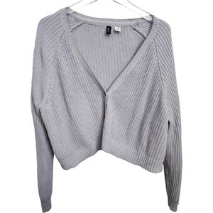 BDG Cropped Sweater